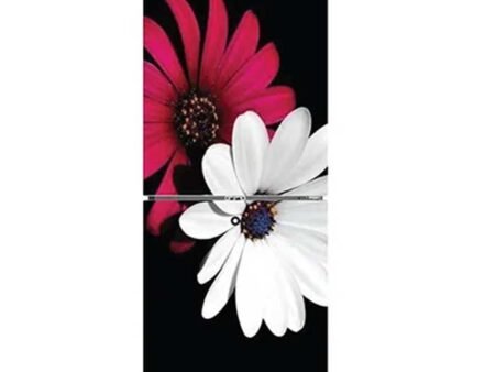 Haier - 191L Top Mount Refrigerator | HRF-211EPDF